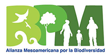 Iniciativa de América Central